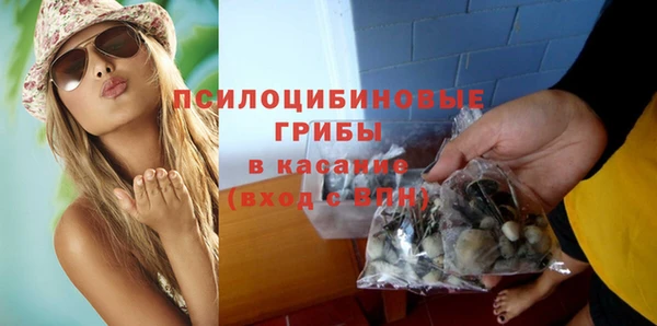 крисы Арсеньев