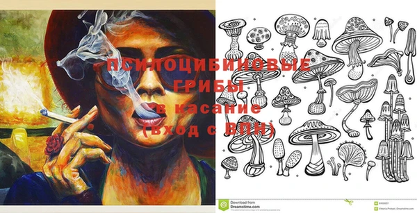 крисы Арсеньев