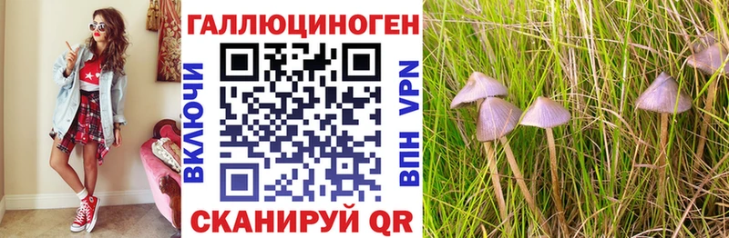 Галлюциногенные грибы ЛСД  Верхняя Салда 